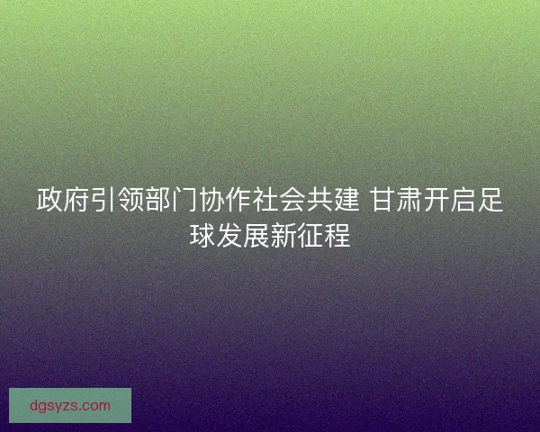 政府引领部门协作社会共建 甘肃开启足球发展新征程